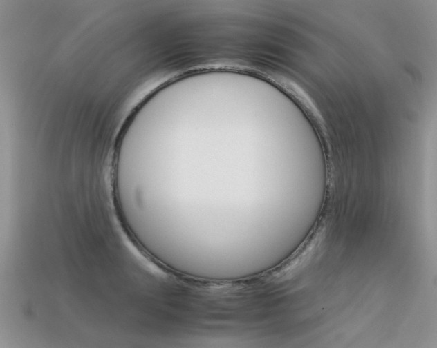 X0000113310847200909141004