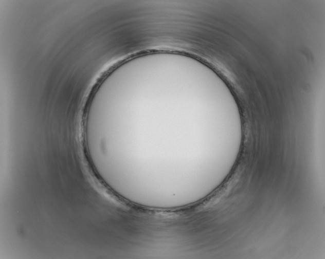 X0000113310848200909141004