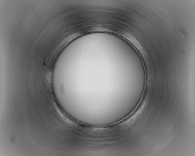 X0000113310849200909141004