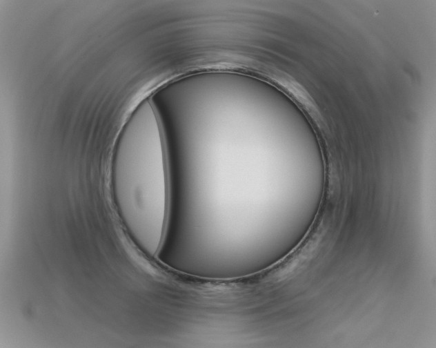 X0000113310850200909141004