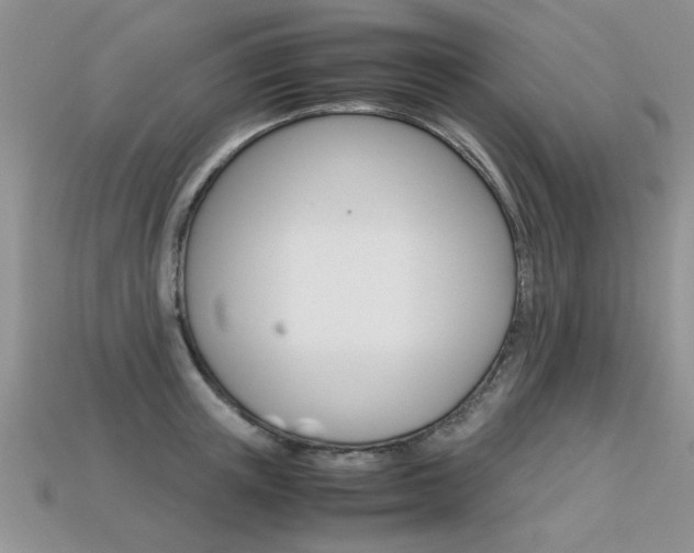 X0000113310851200909141004