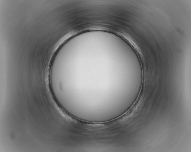 X0000113310853200909141004