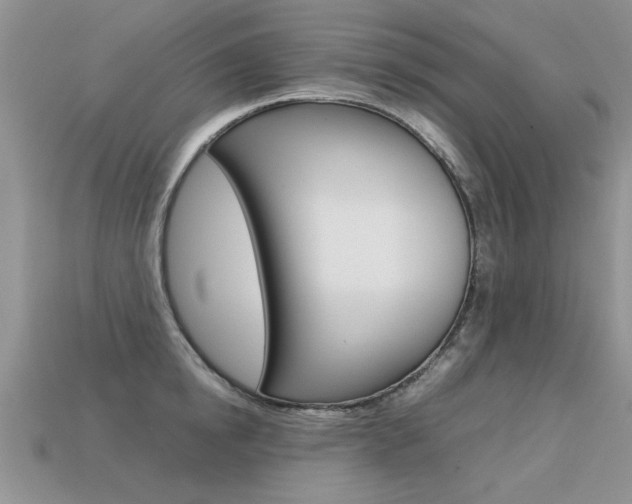 X0000113310854200909141004