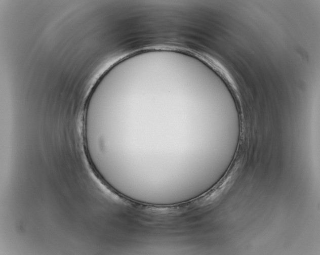X0000113310855200909141004