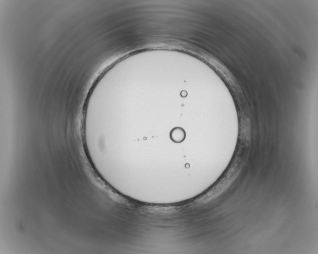 X0000113310856200909141004