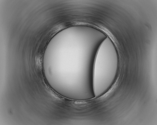 X0000113310857200909141004
