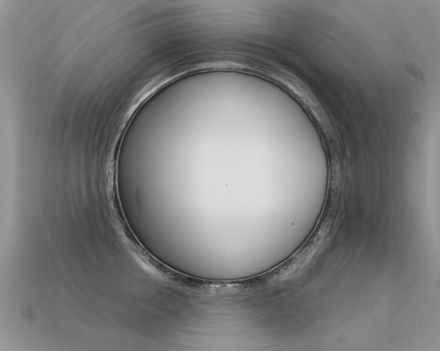 X0000113310858200909141004