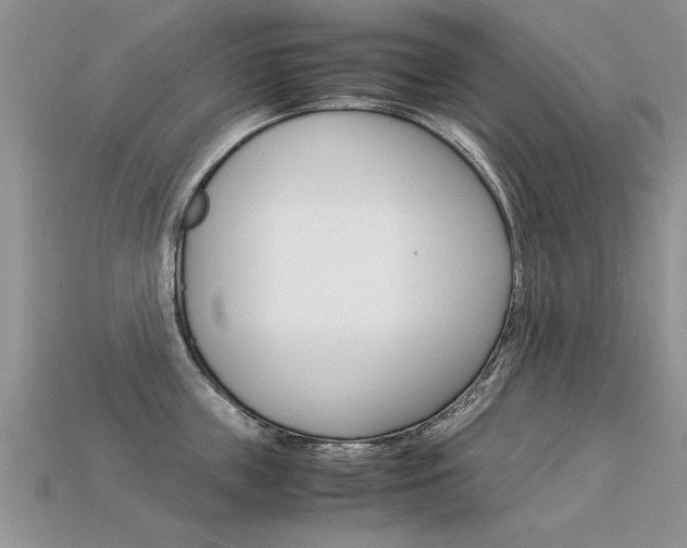 X0000113310859200909141005