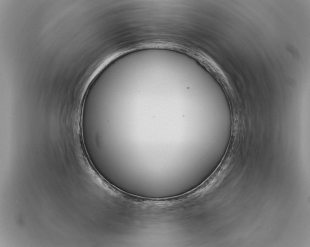 X0000113310860200909141005
