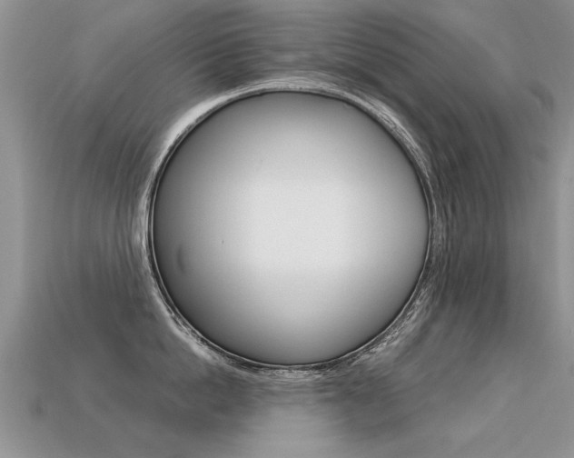 X0000113310862200909141005