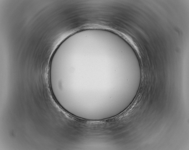 X0000113310863200909141005