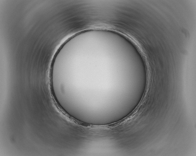 X0000113310864200909141005