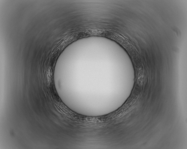 X0000113310866200909141004