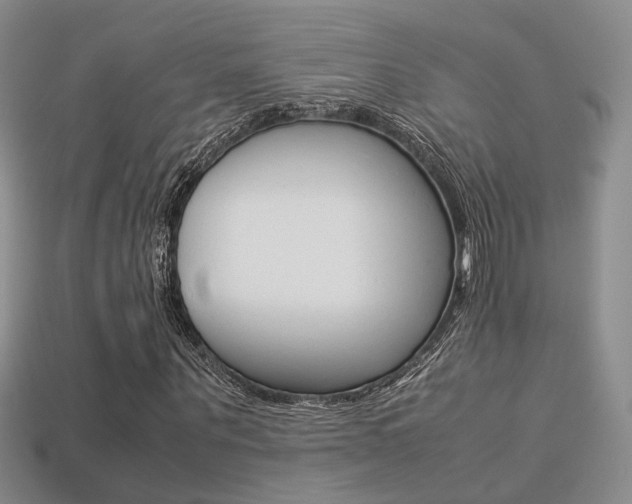 X0000113310867200909141004