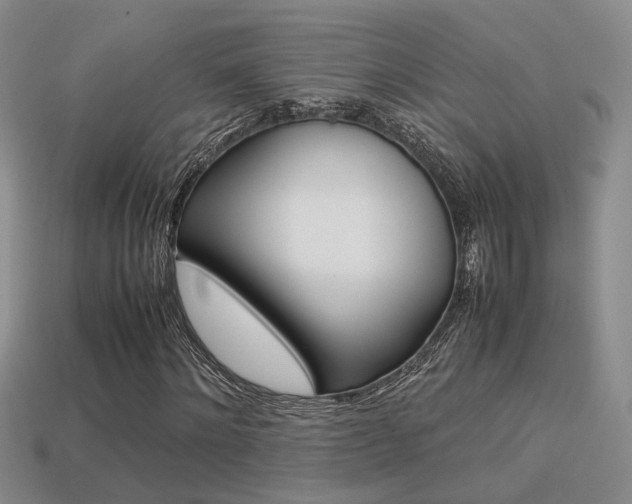 X0000113310868200909141004