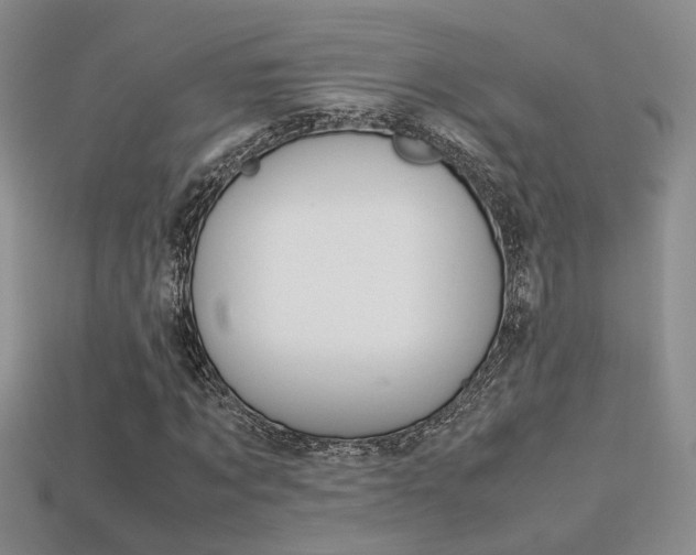 X0000113310869200909141004
