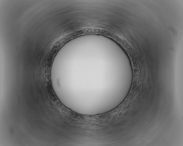 X0000113310870200909141004