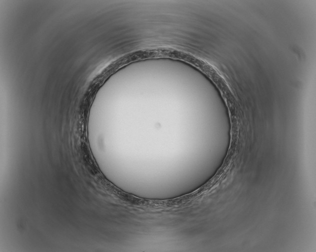 X0000113310871200909141004