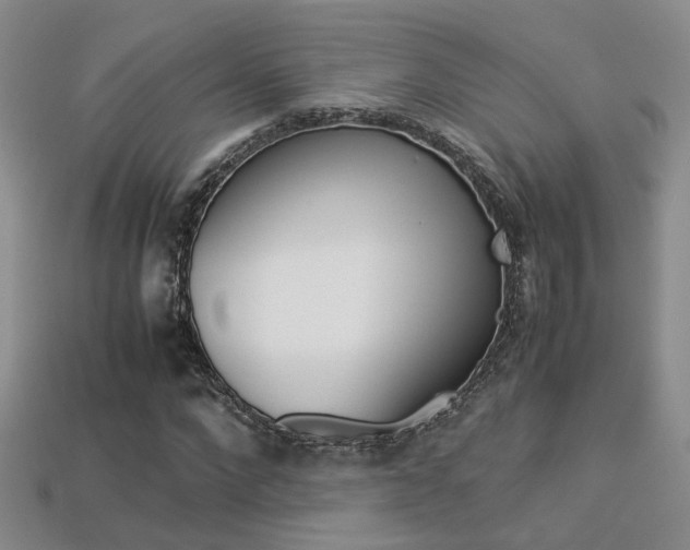X0000113310872200909141004