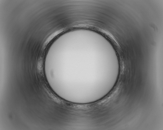 X0000113310874200909141004