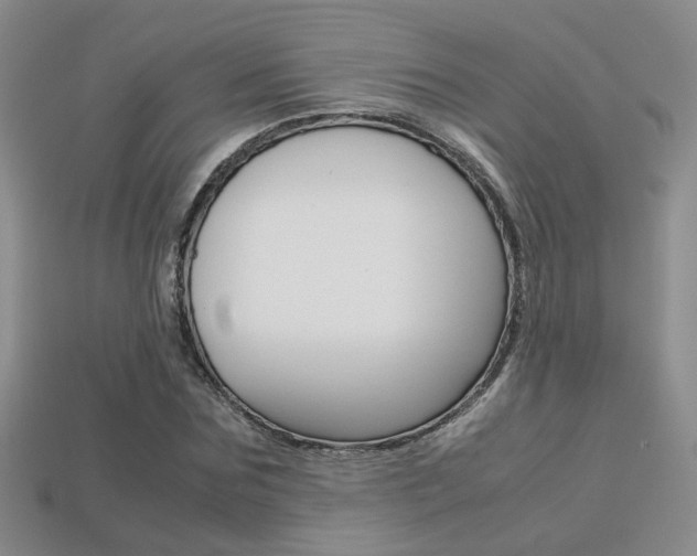 X0000113310875200909141004