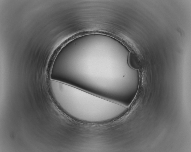 X0000113310876200909141004