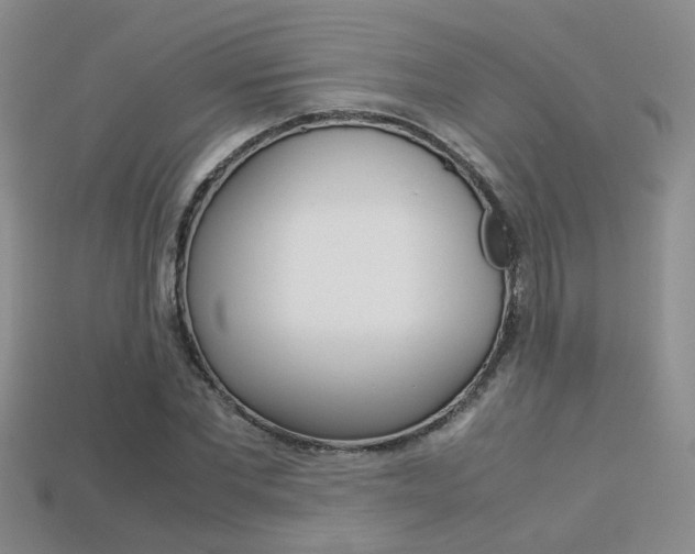 X0000113310877200909141004