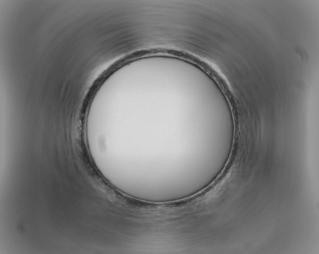 X0000113310879200909141004