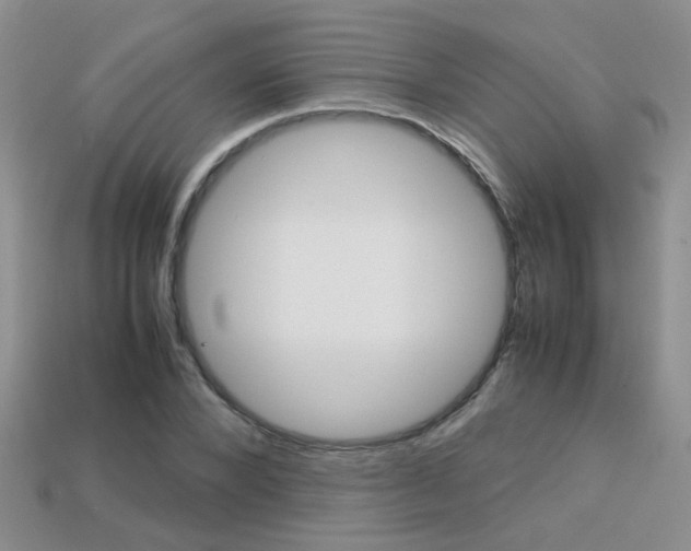 X0000113310880200909141004