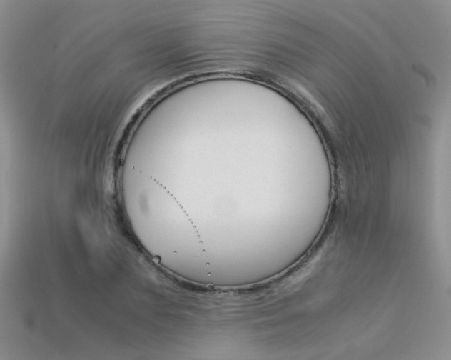 X0000113310883200909141004
