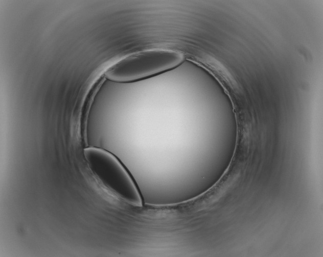 X0000113310884200909141004