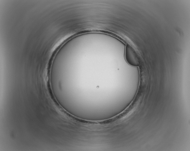 X0000113310885200909141004