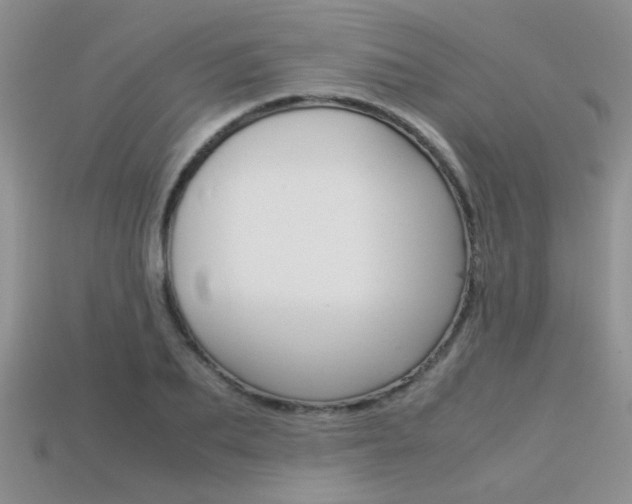 X0000113310887200909141004