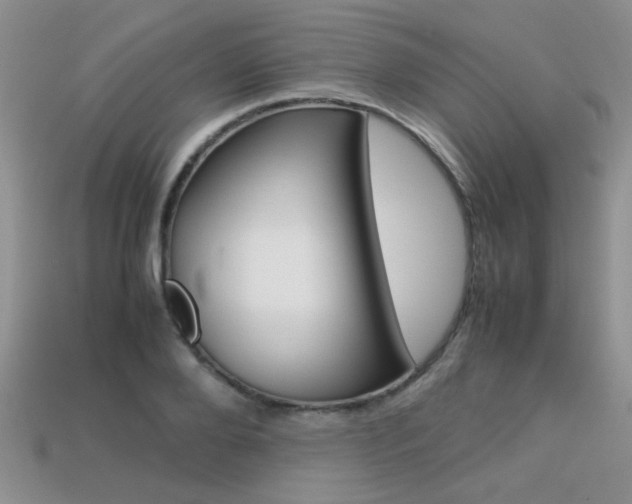 X0000113310888200909141004