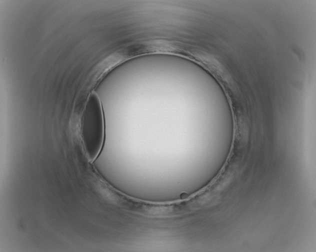 X0000113310889200909141004
