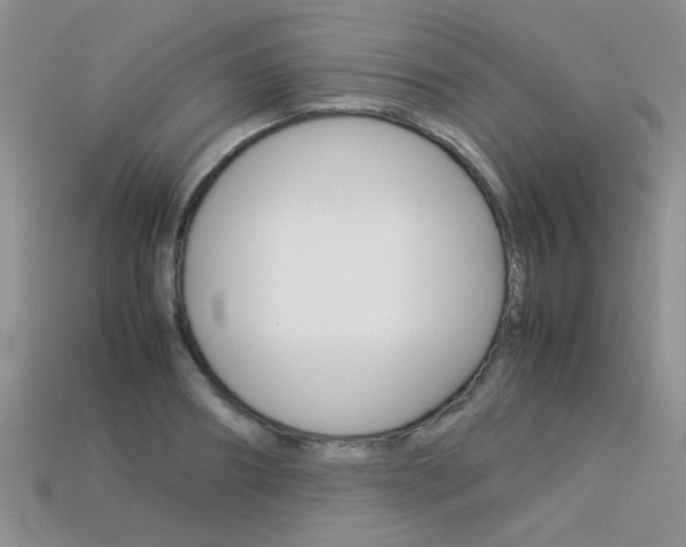 X0000113310890200909141004