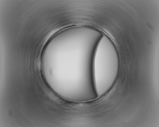 X0000113310891200909141004
