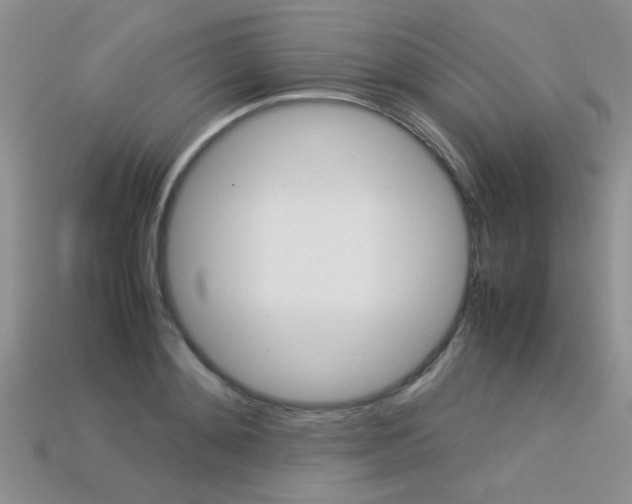 X0000113310892200909141004