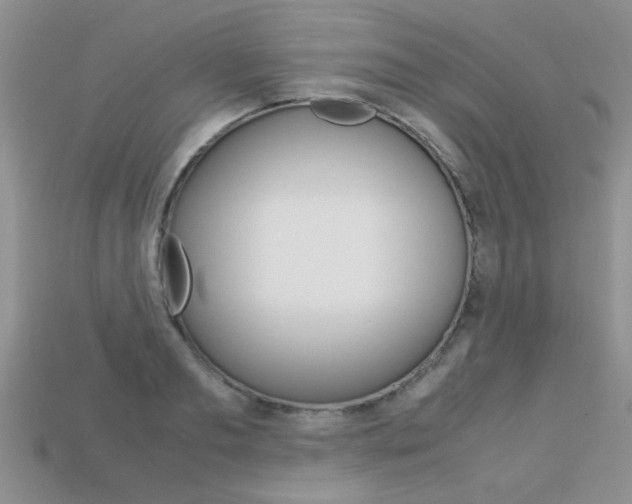 X0000113310893200909141004
