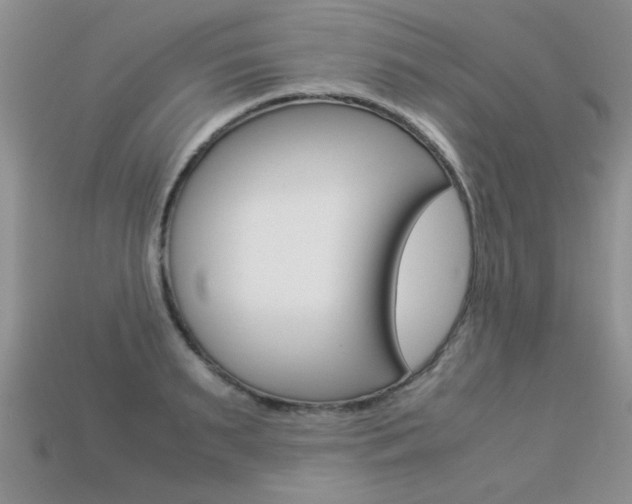 X0000113310895200909141004