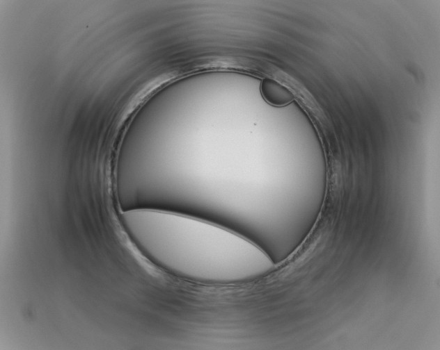 X0000113310898200909141004