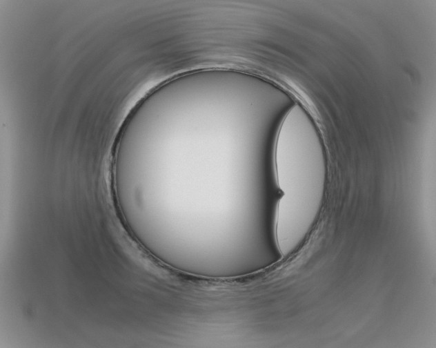 X0000113310899200909141004