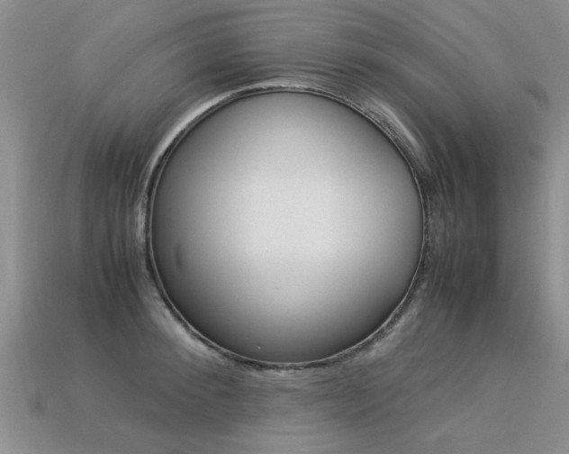 X0000113310900200909141004