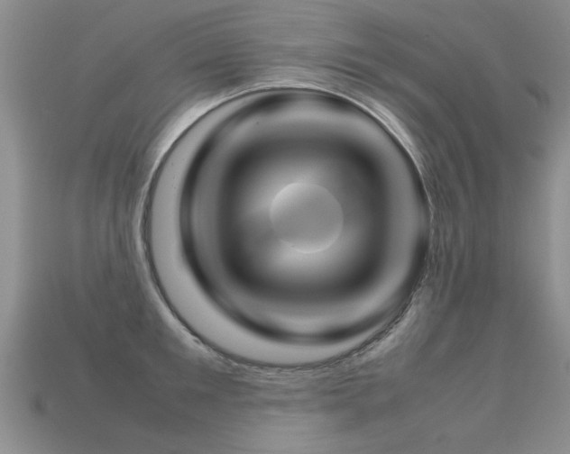 X0000113310901200909141004