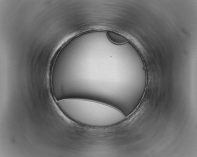 X0000113310902200909141003