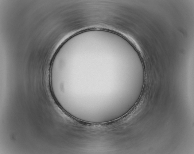 X0000113310903200909141003