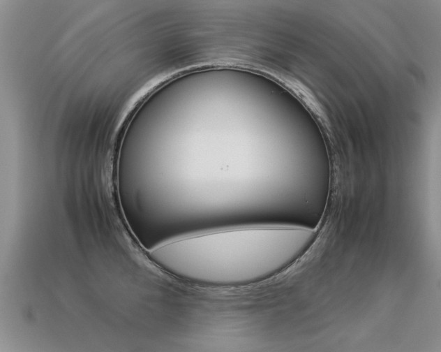 X0000113310904200909141003