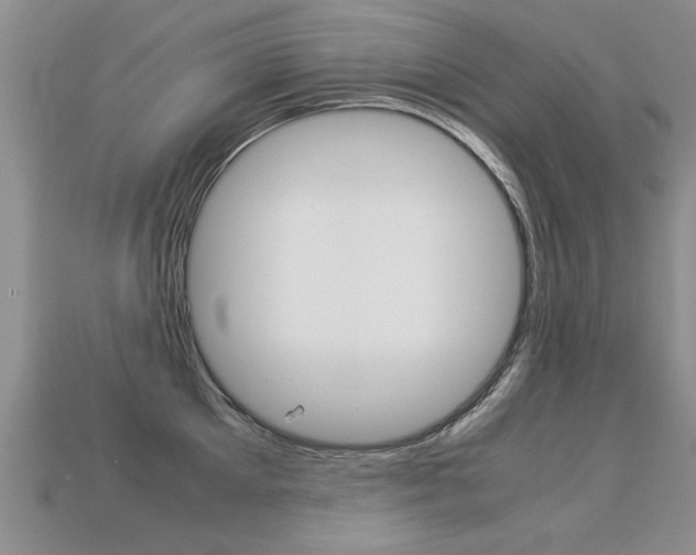 X0000113310905200909141003