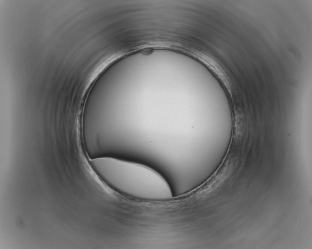 X0000113310906200909141003