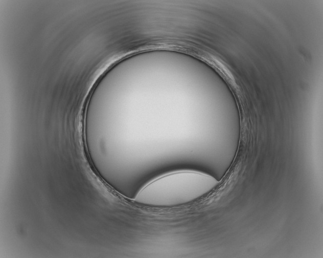 X0000113310907200909141003